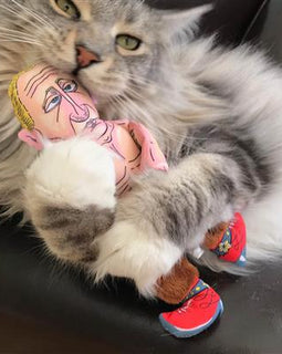 Rootin’ Tootin’ Putin Cat Toy- 8” Political Parody